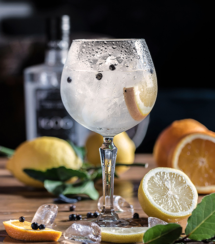Photo d'un cocktail Gin tonic du Gincoq